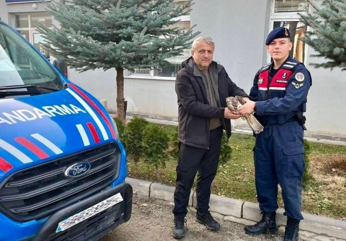 ÇERKEŞ'TE BULUNAN YARALI ŞAHİN TEDAVİ ALTINA ALINDI