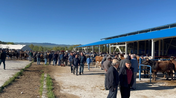 ÇERKEŞ'TE KURBANLIK PAZARLIKLARI BAŞLADI