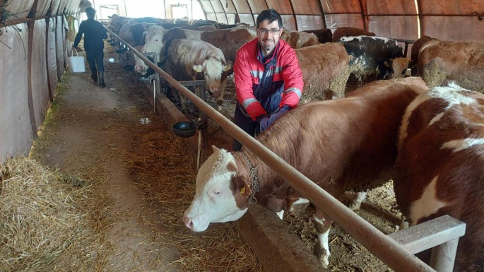 ÇERKEŞ'TE ŞAP HASTALIĞINA KARŞI MÜCADELE BAŞLATILDI