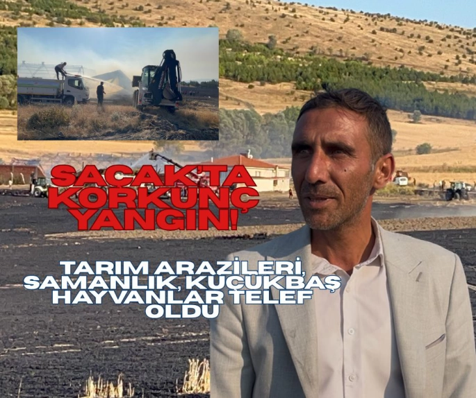 SAÇAK'TAKİ YANGINDA HAYVANLAR VE TARIM ARAZİLERİ YANDI