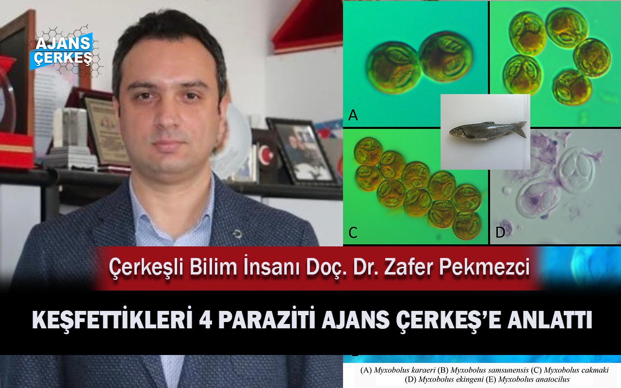 Türk Bilim İnsanları Balıklarda 4 Yeni Parazit Türü Keşfetti