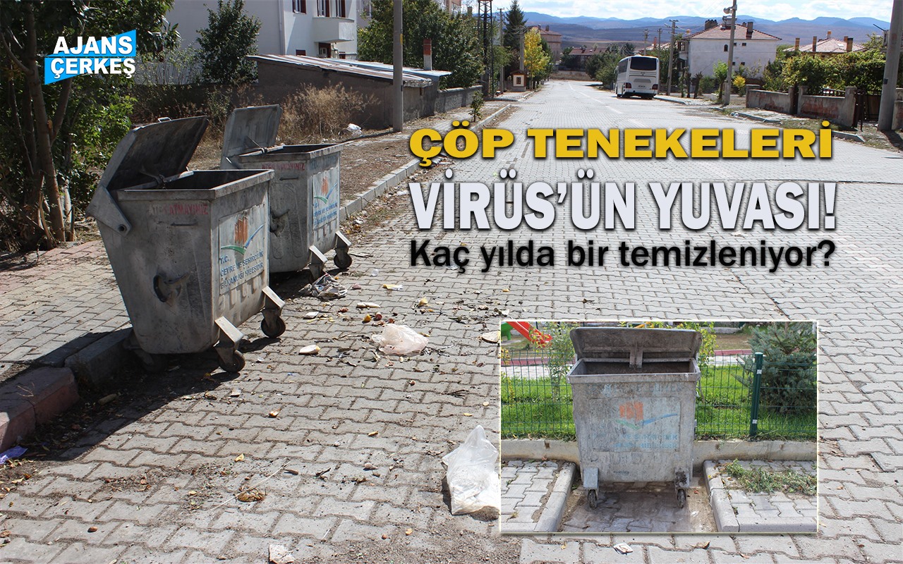 Virüsün Asıl Yuvası Sokaktaki Çöp Tenekeleri!