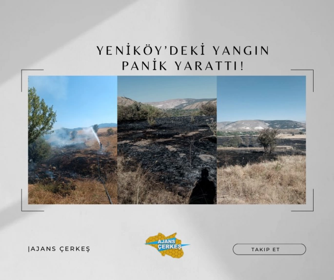 YENİKÖY'DEKİ ANIZ YANGINI PANİK YARATTI