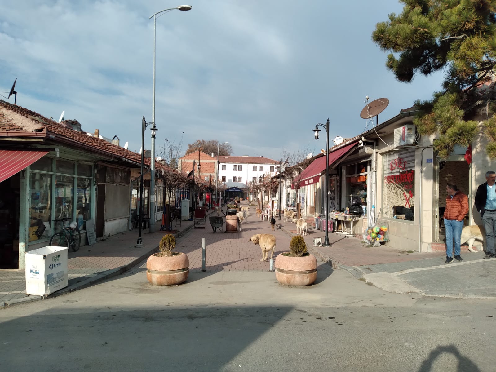 KİMİN YAŞAM ALANI KISITLANIYOR?