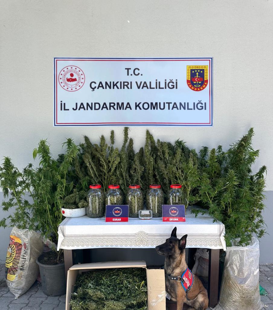 Uyuşturucu Operasyonunda 1 Kişi Yakalandı